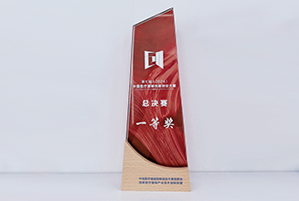 First Prize in the Finals of the 7th China Medical Device Innovation and Entrepreneurship Competition