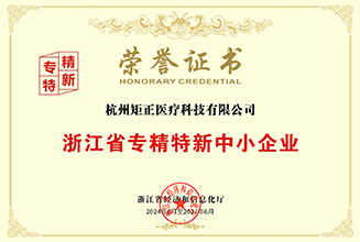 Zhejiang Province Specialized, Refined, Unique and New Small and Medium sized Enterprises